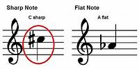 How To Read Music - Accidentals - Sharps and Flats on the Staff - Piano Lesson 12
