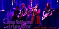 Ann Wilson & Tripsitter - Ruler of the Night / Love Alive (Live)