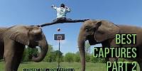 Best of Elephant Boy Rene Casselly Compilation - Best Captures - Part 2