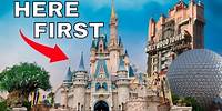 Disney World guide for NEWBIES that have never been.