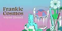 Frankie Cosmos - wayne (demo) (Official Audio)