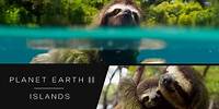 Swimming sloth - Planet Earth II: Islands Preview - BBC One