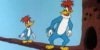 The Twins of Trouble | 2.5 Hours of Classic Episodes of Woody Woodpecker