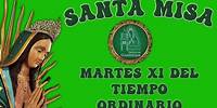 SANTA MISA VIERNES XI "SAN LUIS GONZAGA" Parroquia "Nuestra Señora de Guadalupe"