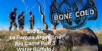 S10 E5: Black Buck, La Pampa Argentina Part 3. Giant Water Buffalo, lots of Viscacha, and Blackbuck