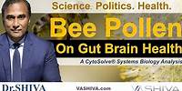 Dr.SHIVA™ LIVE: Bee Pollen & Gut Brain Health - @CytoSolve Systems Analysis