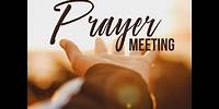 Bible Study and Prayer Meeting // May 15, 2024