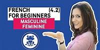 French for Beginners Course: Lesson 4.2 on the Masculine and Feminine in French