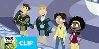 WILD KRATTS | Wild Cats! | PBS KIDS