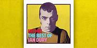 Hit Me! The Best Of Ian Dury - OUT NOW