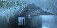 The Dance of Thunder and Terrible Rain on The Corrugated Iron Roof Helps You Fall Asleep Immediately