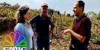 The Profit: Marcus Lemonis Visits A Lebanese Winery That's Growing Hope After The War | CNBC Prime
