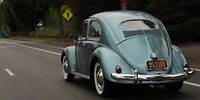 "The Bug Movie" Trailer -- VW Beetle Documentary