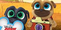 Let's Take a Picture 📷 | Music Video | Puppy Dog Pals | Disney Junior