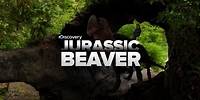 Prehistoric Beavers Make A Daring Escape!!
