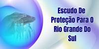 Escudo De Proteção Para O Rio Grande Do Sul