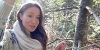 La résine de sapin baumier - Nourriture en forêt l'automne et l'hiver au Québec
