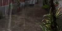Rains in my inner courtyard….പാലക്കാടൻ മഴ…..നടുമുറ്റത്ത് പെയ്തിറങ്ങിയപ്പോൾ….😍😍 #rain #rainyday