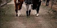 for the very first time: meine beiden Jungs an der Hand 😍 #equestrian