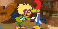 Woody's Mom Comes to Visit | Woody Woodpecker