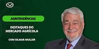 Preços dos grãos fecham a semana com saldo negativo em Chicago