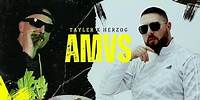 Tayler & Herzog - Alles muss versteckt sein (prod. von StanTuned & Nouh)