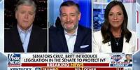 Ted Cruz and Katie Britt Discuss Bill to Protect IVF on Hannity