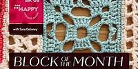 Episode 5: 2024 Block of the Month Crochet with Sara Delaney | Block 5 | One Big Happy Yarn Co.