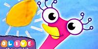 Olive the Ostrich - Clear Blue Skies! | Full Episodes