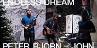 Peter Bjorn and John - The Endless Dream Video Chronology (All Music Videos)
