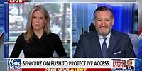Ted Cruz: Not a Single Senate Democrat Cares About the Border Crisis