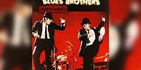 The Blues Brothers - Riot in Cell Block Number Nine (Official Audio)