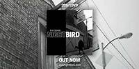 Eva Cassidy - Nightbird album trailer