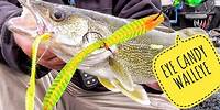 Deadly Walleye Trick | Eye Candy Rigging Leech and Spinner Harness