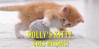 Dolly's Kitty Goes Missing!