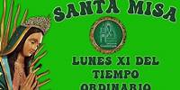 SANTA MISA Lunes XI del Tiempo Ordinario Parroquia "Nuestra Señora de Guadalupe"