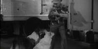 Lassie - Episode #381 - "Trouble Below Zero" - Season 11, Ep. 29 - 04/04/196519