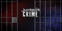 Full Measure: May 26, 2024 - Juvenile Crime