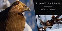 Golden eagle fight - Planet Earth II: Mountains Preview - BBC One
