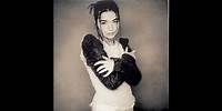 Björk - Human Behaviour (Underground Behaviour Remix)