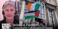 Irish Lawmaker: Recognizing Palestine as a State Is Rooted in Our History of Colonization & Famine