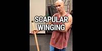 Scapular Winging Exercise | Ed Paget