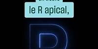 Apical, grasseyé, fricatif... Voici les différentes façons de prononcer la lettre "R"