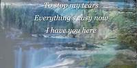 WESTLIFE _ When You Tell Me That You Love Me . lyrics