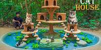 Rescued Kitten Building Tree House for Cat and Fish Pond for Red fish