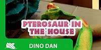 Dino Dan | Pterosaur In The House - Episode Promo
