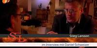 Die Stieg Larsson Story (ZDF)