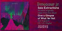 Dinosaur Jr - Solo Extractions (Official Audio)