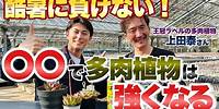 【生産者に聞く】春から始める！多肉植物を強くする〇〇をご紹介【ガーデニング】【多肉植物】