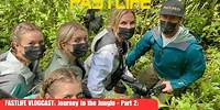 FastLife: Journey to the Jungle Part 2: Ascent to the Gorillas of Volcanoes National Park